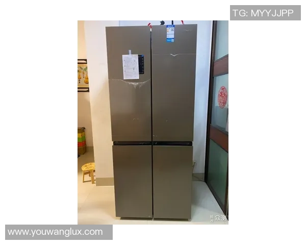 排球装备选购指南：护具推荐与使用技巧分享