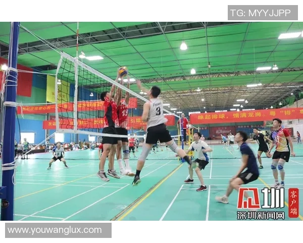 排球团队协作实力榜单揭晓西安排球队荣获第五名佳绩