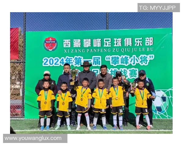 探索西藏足球明星的数量与成就以及他们对足球发展的影响