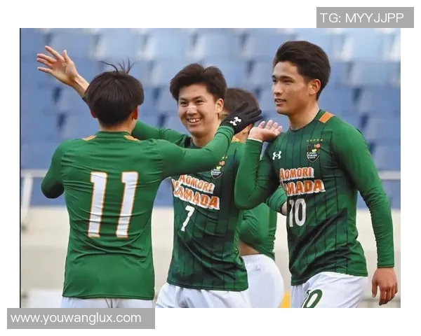 日本足球明星的崛起与成就盘点及其对世界足球的影响